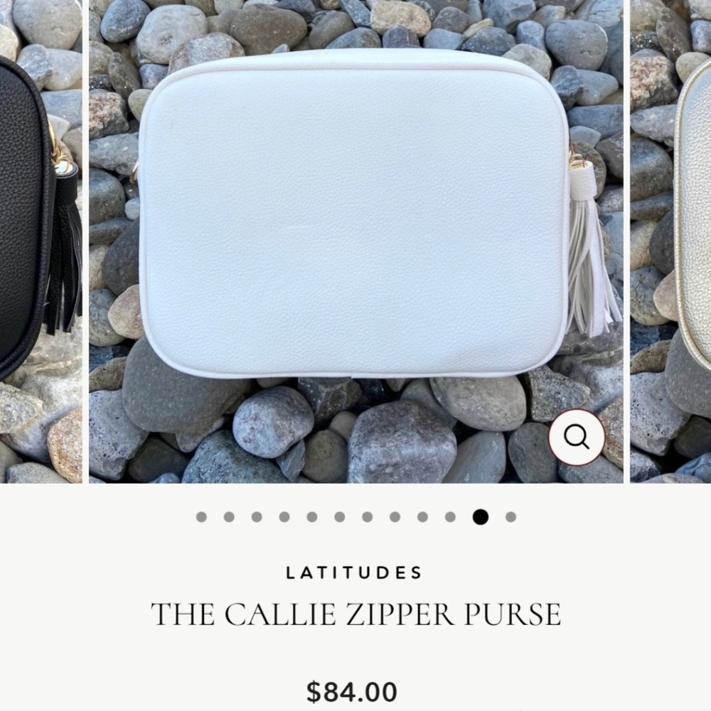 NWT The Callie Zipper Purse (#8)
